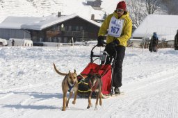 Lenk 2012 SM